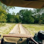 How to Choose the Best Safari in Africa for Adventure Seekers?