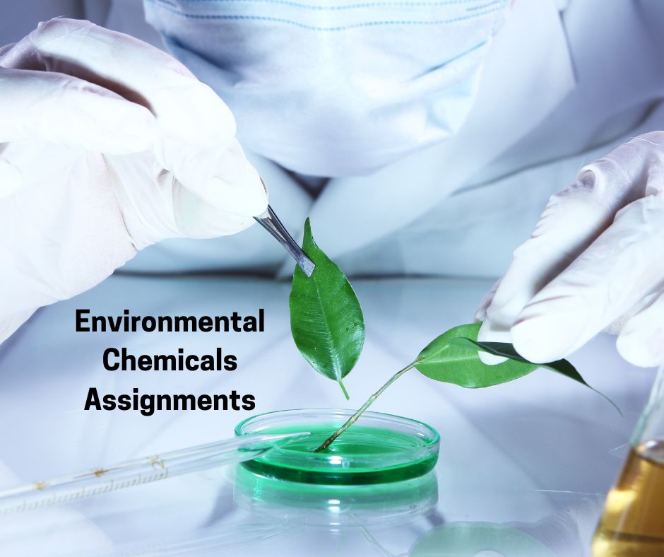 Environmental Chemicals Assignments