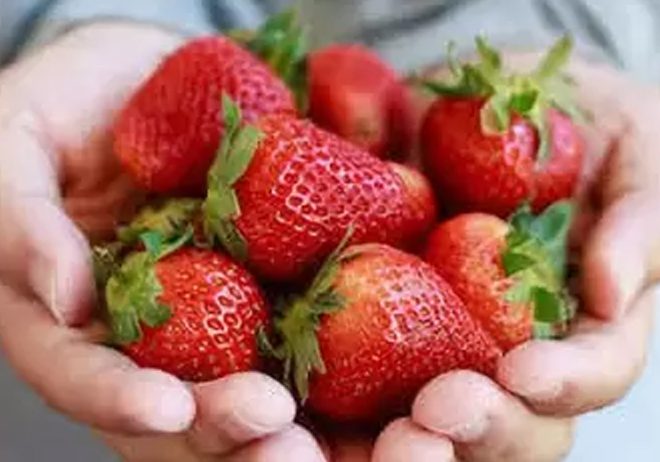 Strawberry Health Benefits: A Nutritional Powerhouse