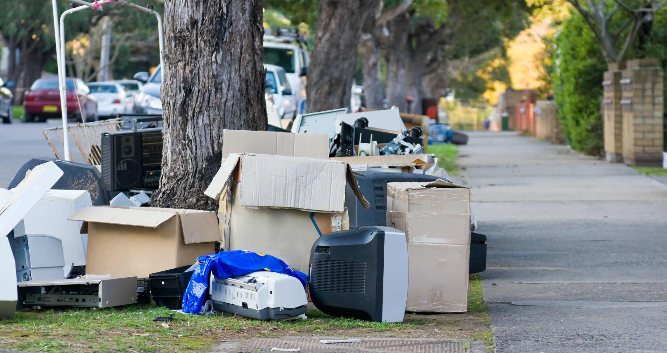 Junk Removal Expert in West Palm Beach FL