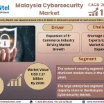 Malaysia Cybersecurity Market Trends set to witness Explosive growth by 2030