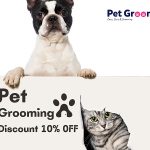 Make Your Furry Friend Look and Feel Great this Festive Season