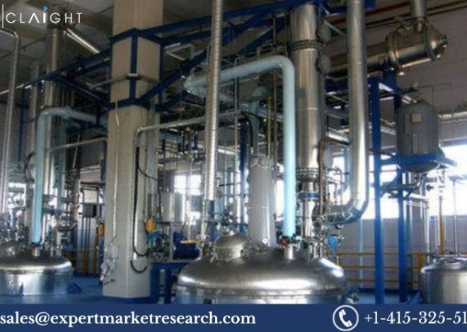 Polyvinyl Acetate Manufacturing Plant Project Report 2024: Industry trends and Plant Setup