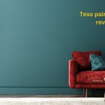 Texo Paint Product Reviews: Quality and Performance Unveiled