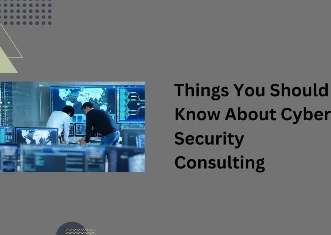 Things You Should Know About Cyber Security Consulting