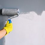 How to Choose the Best Anti Mould Paint for Your Interior Spaces