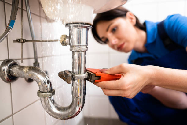 Comprehensive Plumber Services in Pearcedale: A Spotlight on SE Plumbing