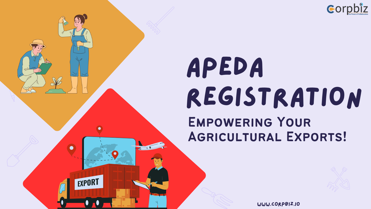 apeda registration