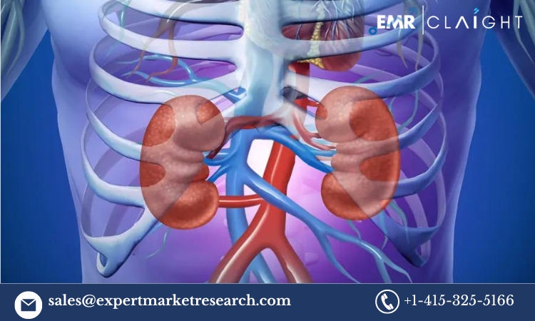 Acute Kidney Injury Treatment Market