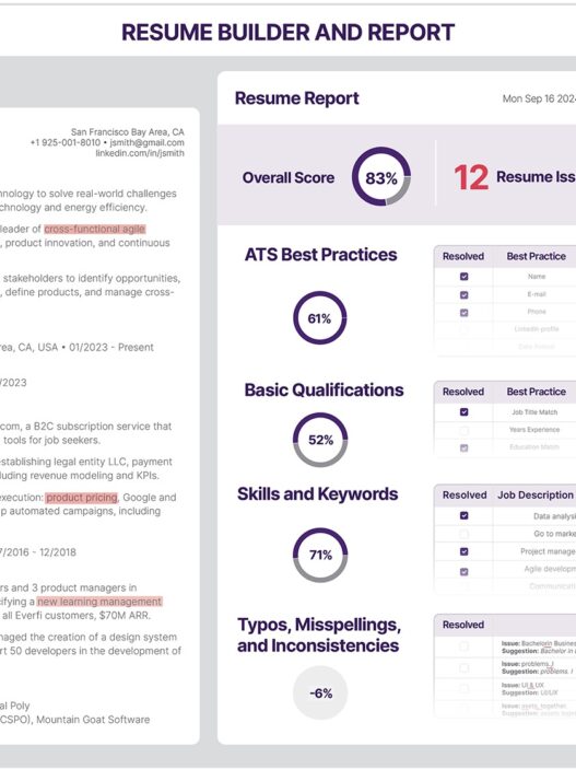 online resume score tool