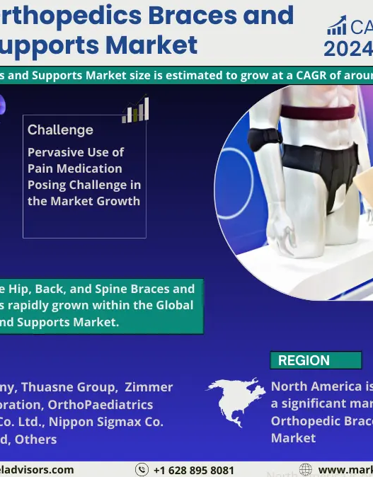 Global Orthopedics Braces and Supports