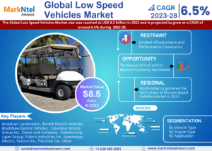 Low Speed Vehicles Market