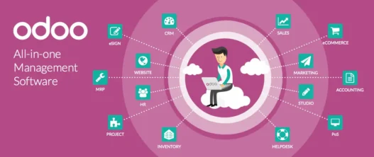 Odoo Integration Services