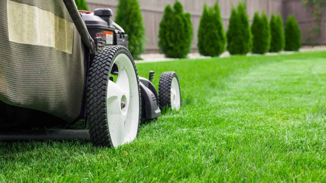 Professional Care for a Healthier, Greener Yard