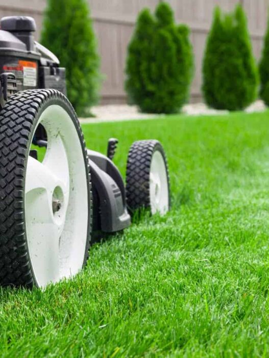 Professional Care for a Healthier, Greener Yard