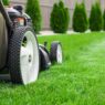 Professional Care for a Healthier, Greener Yard