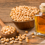 Soybean Oil Market Size And Forecast Report 2024-2032