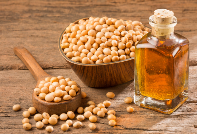 Soybean Oil Market Size And Forecast Report 2024-2032