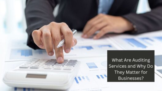 What Are Auditing Services and Why Do They Matter for Businesses