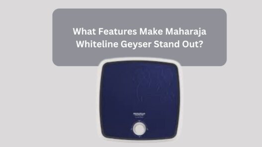 What Features Make Maharaja Whiteline Geyser Stand Out