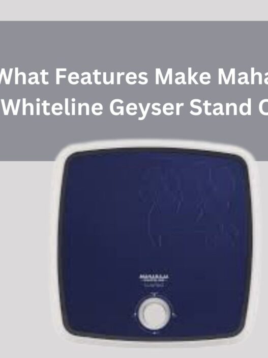 What Features Make Maharaja Whiteline Geyser Stand Out