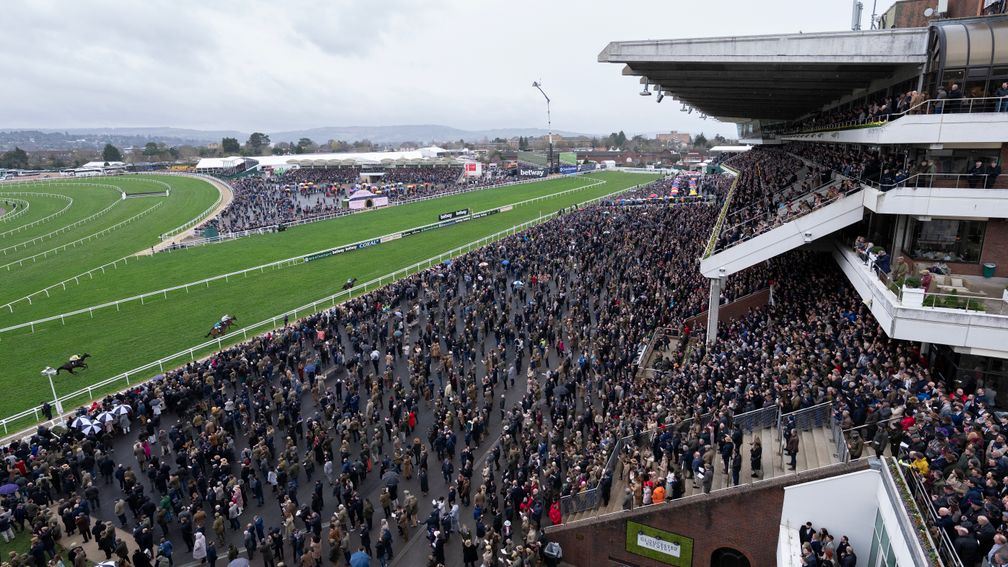 club enclosure cheltenham