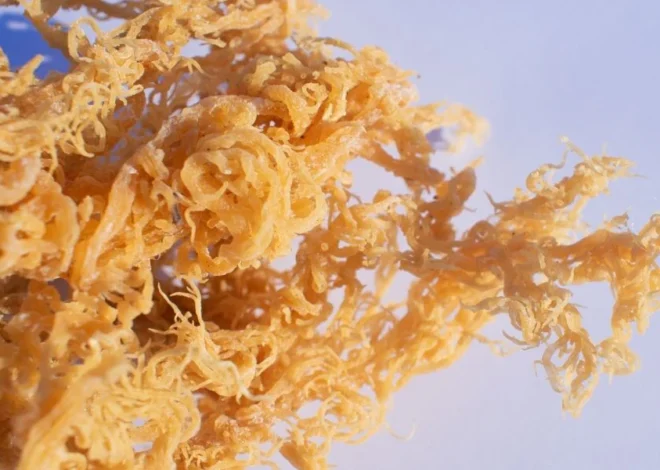 How Sea Moss is Revolutionizing the Health and Wellness Industry