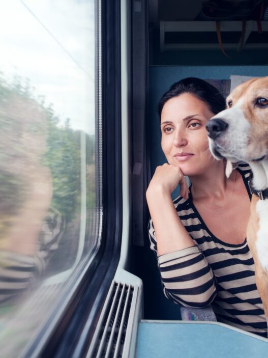 Tips for Traveling with Your Pet: Must-Have Accessories