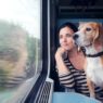 Tips for Traveling with Your Pet: Must-Have Accessories