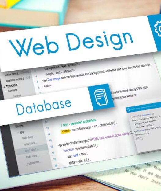 What to Expect from a Professional Web Design Company in BD