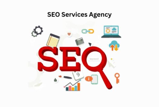 seo services, best seo services for local business, top seo agency to grow business online