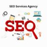 seo services, best seo services for local business, top seo agency to grow business online