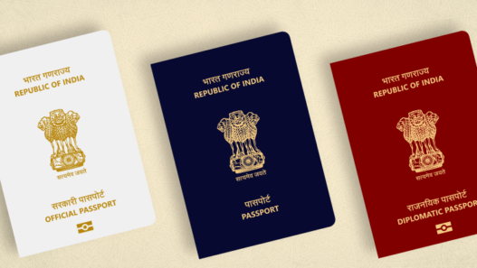 Visa processing service in Millbrook