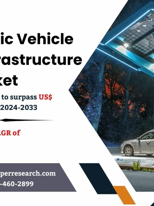 China Electric Vehicle Charging Infrastructure Market