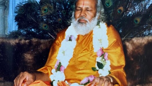 Swami Prakashanand Saraswati