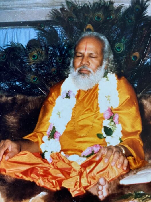 Swami Prakashanand Saraswati