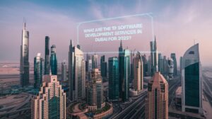 What Are The Top 5 Software Development Services In Dubai?