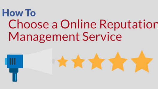 Online Reputation Management Services