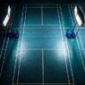 Badminton Court Rentals