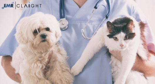 Companion Animal Healthcare Market