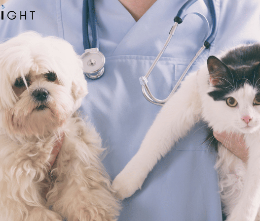 Companion Animal Healthcare Market