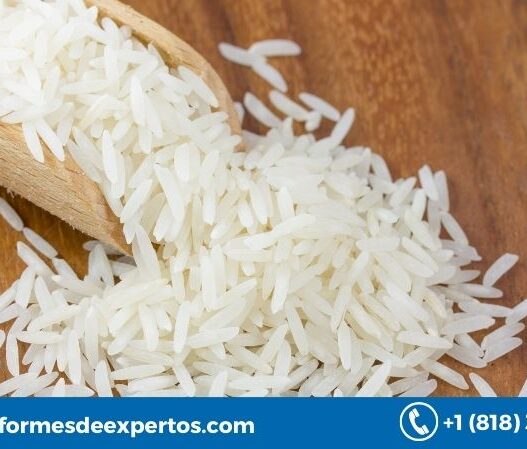 Global Rice Market