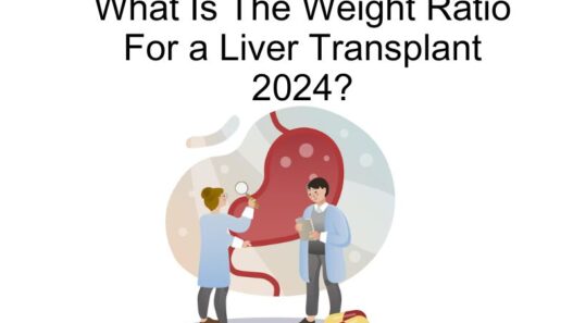 What Is The Weight Ratio For a Liver Transplant 2024?