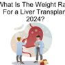 What Is The Weight Ratio For a Liver Transplant 2024?