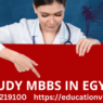 MBBS in Egypt for Indian students