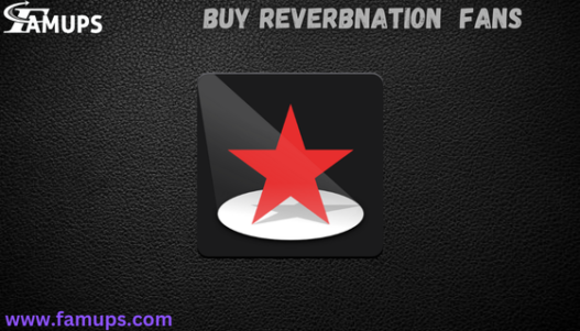 buy Reverbnation  fans