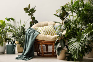 Indoor garden care tips for healthy plants