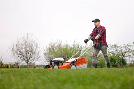 Garden maintenance tips for a lush, healthy outdoor space.