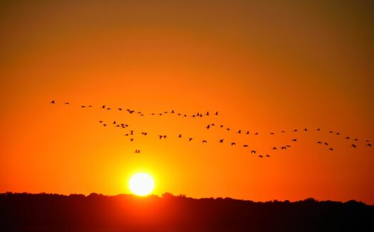 In what sense is orange color relate to spirituality?