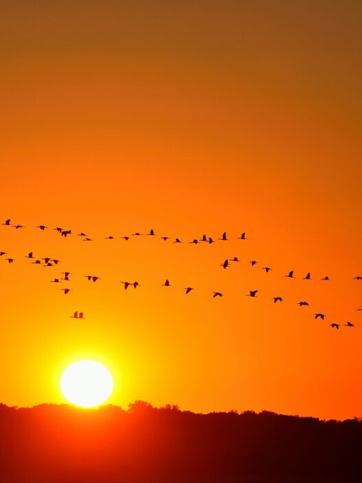 In what sense is orange color relate to spirituality?